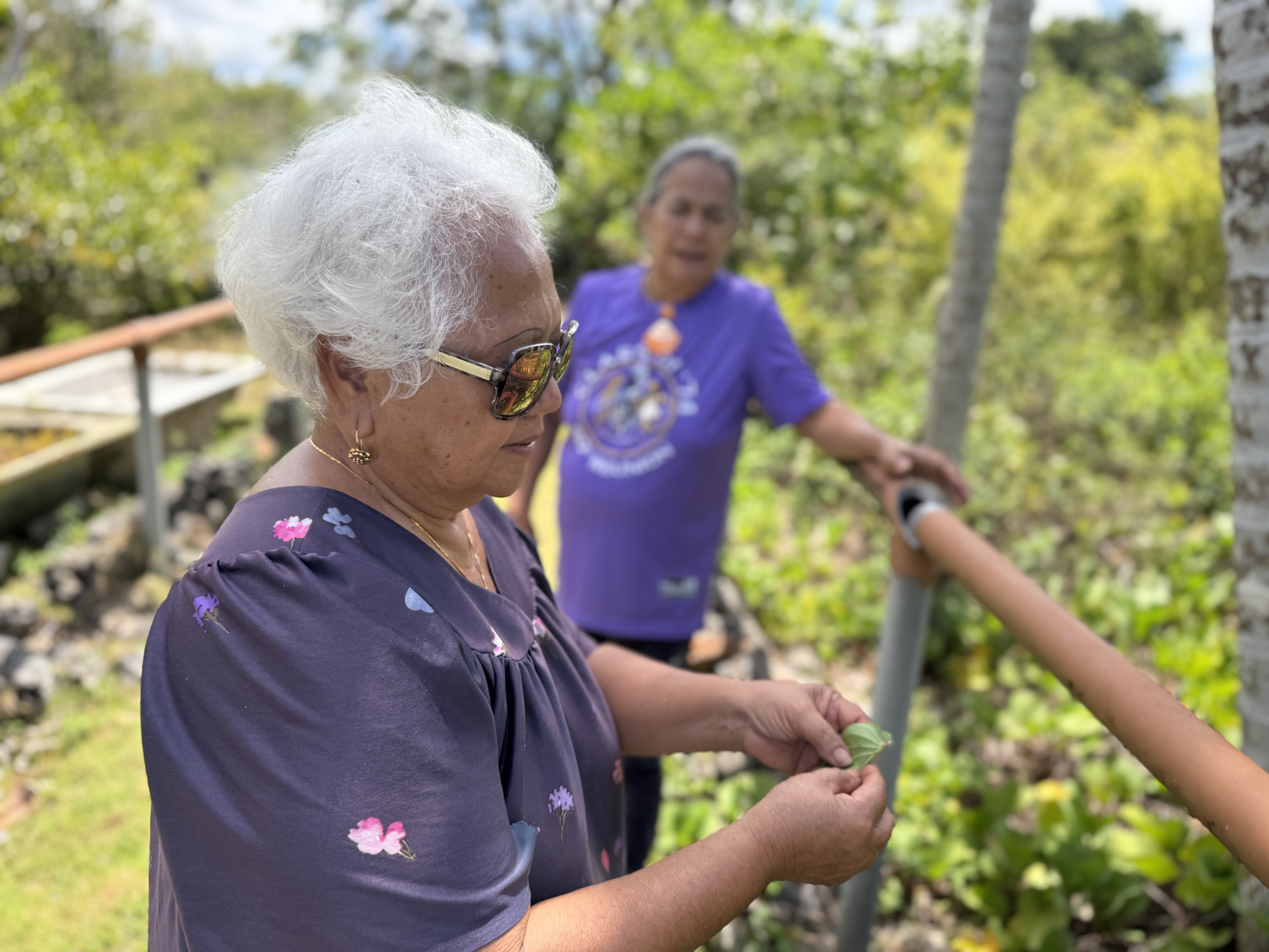 Guam’s Biodiverse Ecosystem and Eco-Tourism