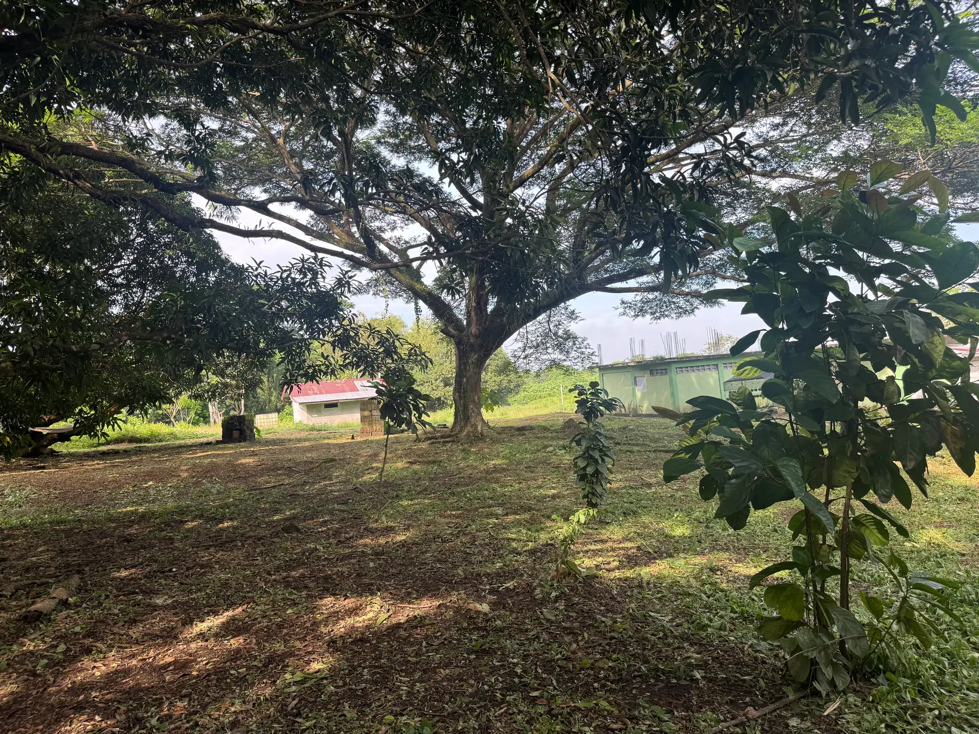 Benito and Consuelo Farm joins St. Michael & Company in cultivating herbs and plants for essential oils